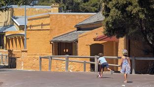Rottnest Island is a place where kids can run free. Simple things like riding a scooter or drawing on the road with a chalk stick may seem from a bygone eara - but not on Rotto.
I snapped this picture with the 3x zoom on my Pixel 9 Pro. I have taken care not to identify the children by making them small in the frame. 
I have used the rule of thirds grid on the phone to compose the picture so the kids are placed where the bottom horizontal line and the right hand vertical line meet. They are moving away from the camera and into the picture which helps to draw the eye into the frame.