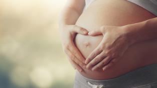 Drinking alcohol while trying to conceive can impair placenta growth and potentially harm a baby’s development, new research has found.