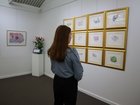 Sri Chinmoy's Art for Peace exhibition is open in Manjimup.