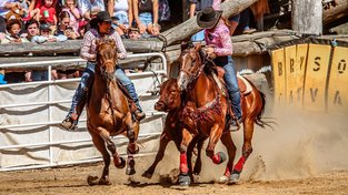 Roebourne Rodeo organiser Tui Magner, left, in action at Boyup Brook Rodeo.